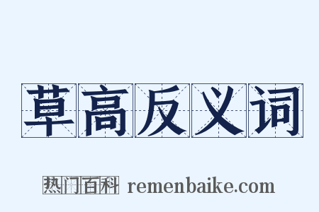 草高反义词是什么意思的图片